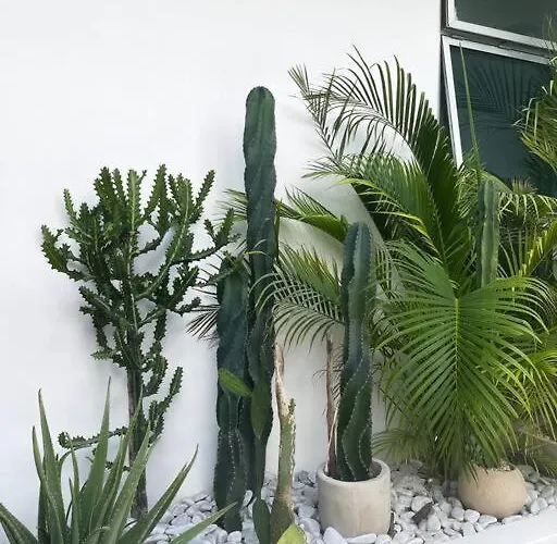 Milagro Ferienhaus *